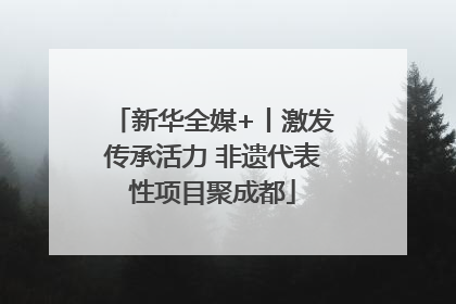 新华全媒+丨激发传承活力 非遗代表性项目聚成都