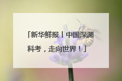 新华鲜报丨中国深渊科考，走向世界！