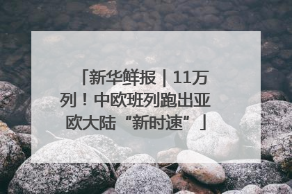 新华鲜报｜11万列！中欧班列跑出亚欧大陆“新时速”