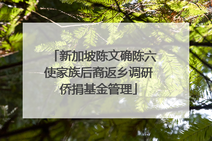新加坡陈文确陈六使家族后裔返乡调研侨捐基金管理