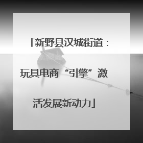 新野县汉城街道：玩具电商“引擎”激活发展新动力