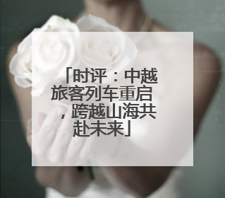 时评：中越旅客列车重启，跨越山海共赴未来
