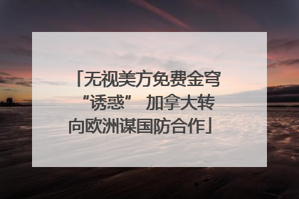 无视美方免费金穹“诱惑” 加拿大转向欧洲谋国防合作