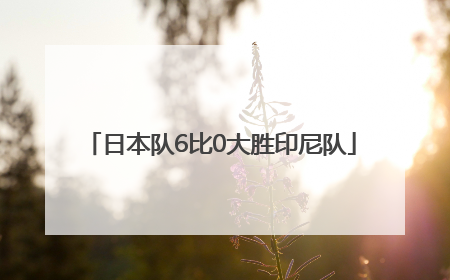 日本队6比0大胜印尼队