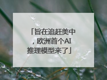 旨在追赶美中，欧洲首个AI推理模型来了