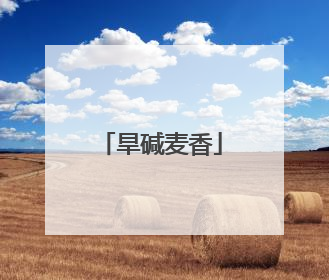 旱碱麦香
