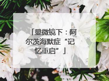 显微镜下：阿尔茨海默症“记忆重启”