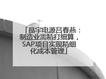 昆宇电源吕春燕：制造业需精打细算，SAP项目实现精细化成本管理