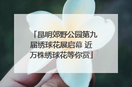 昆明郊野公园第九届绣球花展启幕 近万株绣球花等你赏