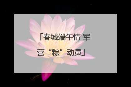 春城端午情 军营“粽”动员
