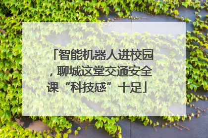 智能机器人进校园，聊城这堂交通安全课“科技感”十足