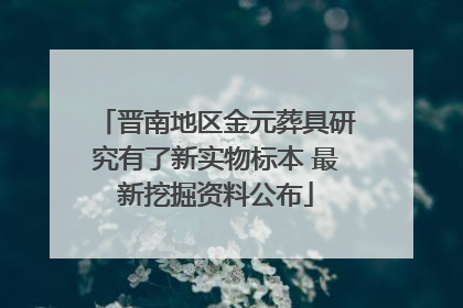 晋南地区金元葬具研究有了新实物标本 最新挖掘资料公布