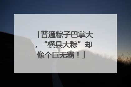 普通粽子巴掌大，“横县大粽”却像个巨无霸！