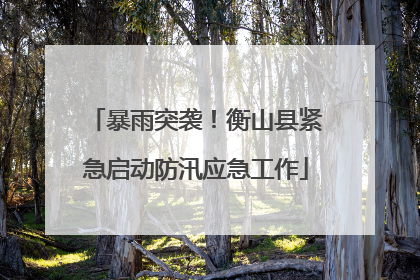 暴雨突袭！衡山县紧急启动防汛应急工作