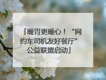 暖胃更暖心！“网约车司机友好餐厅”公益联盟启动