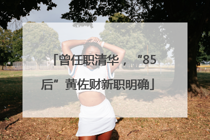 曾任职清华，“85后”黄佐财新职明确