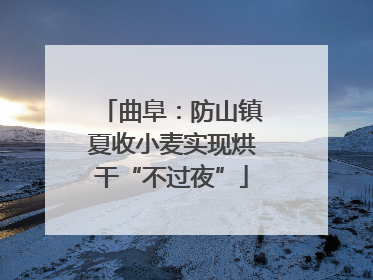 曲阜：防山镇夏收小麦实现烘干“不过夜”