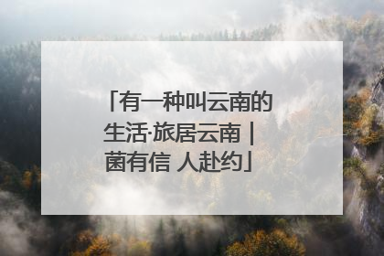 有一种叫云南的生活·旅居云南｜菌有信 人赴约
