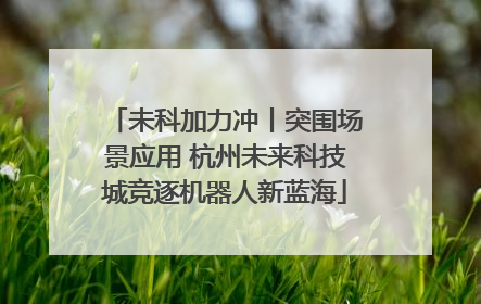未科加力冲丨突围场景应用 杭州未来科技城竞逐机器人新蓝海