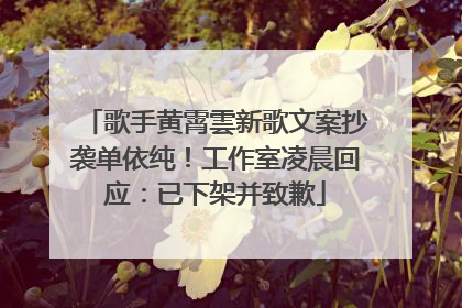 歌手黄霄雲新歌文案抄袭单依纯！工作室凌晨回应：已下架并致歉