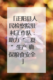 正阳县人民检察院驻村工作队：助力“三夏”生产 确保粮食安全
