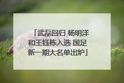 武磊回归 杨明洋和王钰栋入选 国足新一期大名单出炉