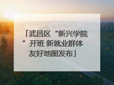 武昌区“新兴学院”开班 新就业群体友好地图发布