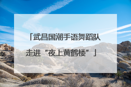 武昌国潮手语舞蹈队走进“夜上黄鹤楼”
