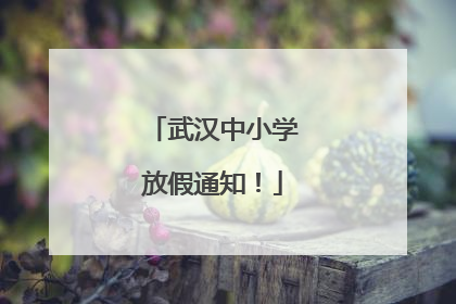 武汉中小学放假通知！