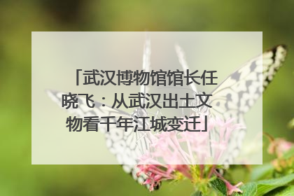 武汉博物馆馆长任晓飞：从武汉出土文物看千年江城变迁
