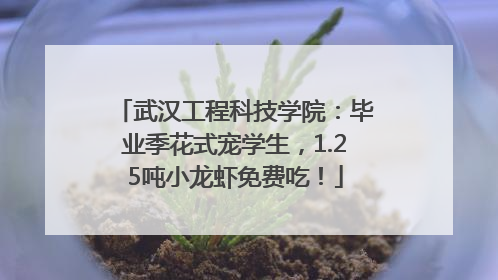 武汉工程科技学院：毕业季花式宠学生，1.25吨小龙虾免费吃！