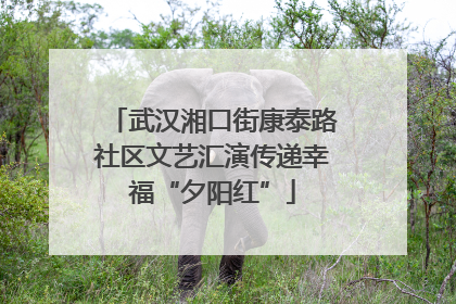 武汉湘口街康泰路社区文艺汇演传递幸福“夕阳红”