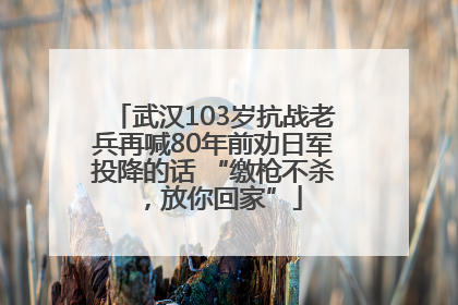武汉103岁抗战老兵再喊80年前劝日军投降的话 “缴枪不杀，放你回家”