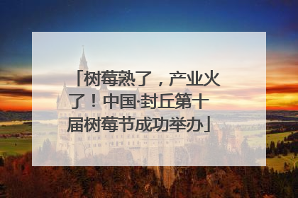 树莓熟了，产业火了！中国·封丘第十届树莓节成功举办