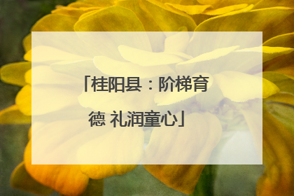 桂阳县：阶梯育德 礼润童心