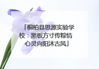 桐柏县思源实验学校：黑板方寸传粽情 心灵向阳沐古风