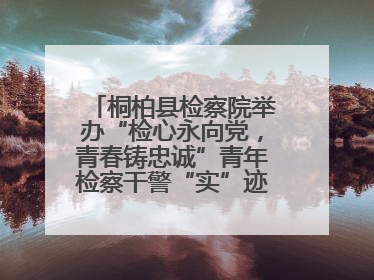 桐柏县检察院举办“检心永向党，青春铸忠诚”青年检察干警“实”迹展示活动
