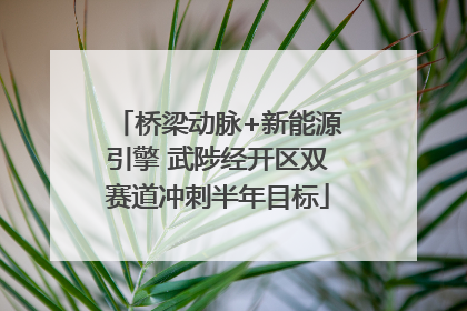 桥梁动脉+新能源引擎 武陟经开区双赛道冲刺半年目标