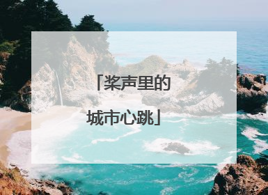 桨声里的城市心跳