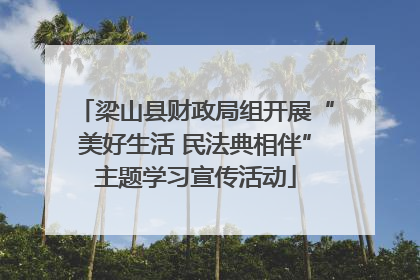 梁山县财政局组开展“美好生活 民法典相伴”主题学习宣传活动