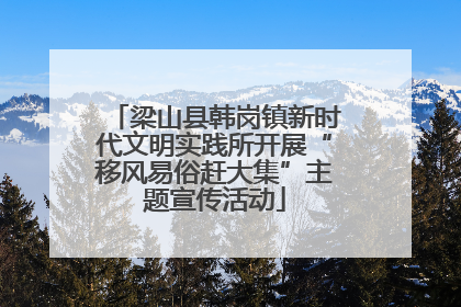 梁山县韩岗镇新时代文明实践所开展“移风易俗赶大集”主题宣传活动