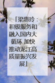 梁惠玲：积极服务和融入国内大循环 加快推动龙江高质量振兴发展