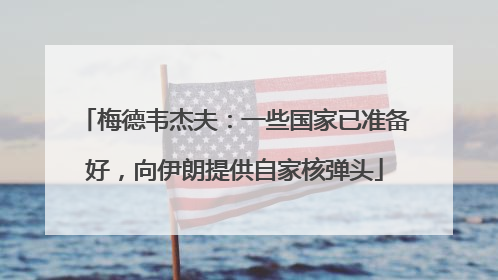梅德韦杰夫：一些国家已准备好，向伊朗提供自家核弹头