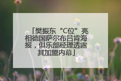 樊振东“C位”亮相德国萨尔布吕肯海报，俱乐部经理透露其加盟内幕