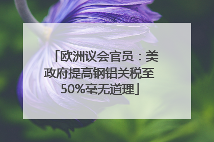 欧洲议会官员：美政府提高钢铝关税至50%毫无道理