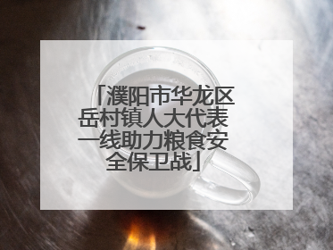 濮阳市华龙区岳村镇人大代表一线助力粮食安全保卫战