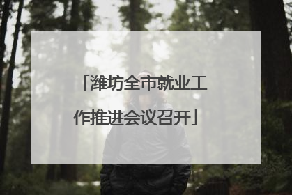 潍坊全市就业工作推进会议召开