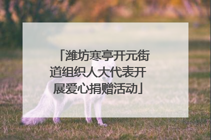 潍坊寒亭开元街道组织人大代表开展爱心捐赠活动