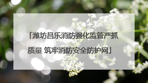潍坊昌乐消防强化监管严抓质量 筑牢消防安全防护网