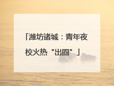 潍坊诸城：青年夜校火热“出圈”